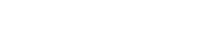 lexfiscus